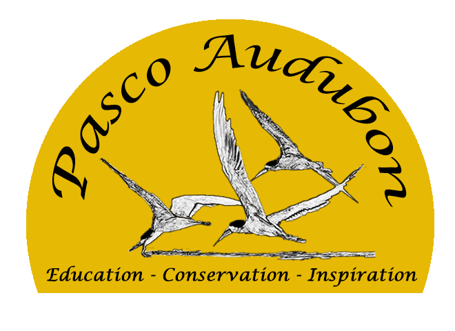 Logo Pasco Audubon