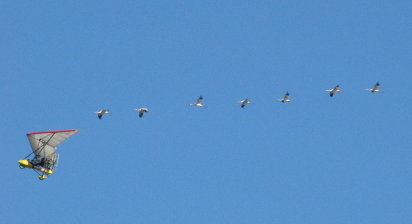 Overhead Profile