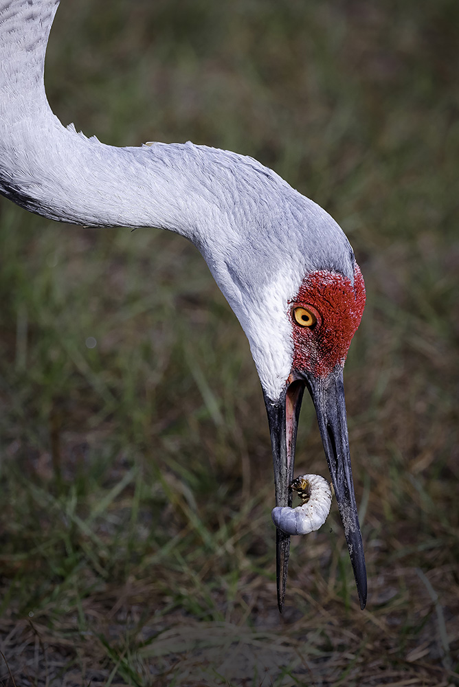 Mealtime