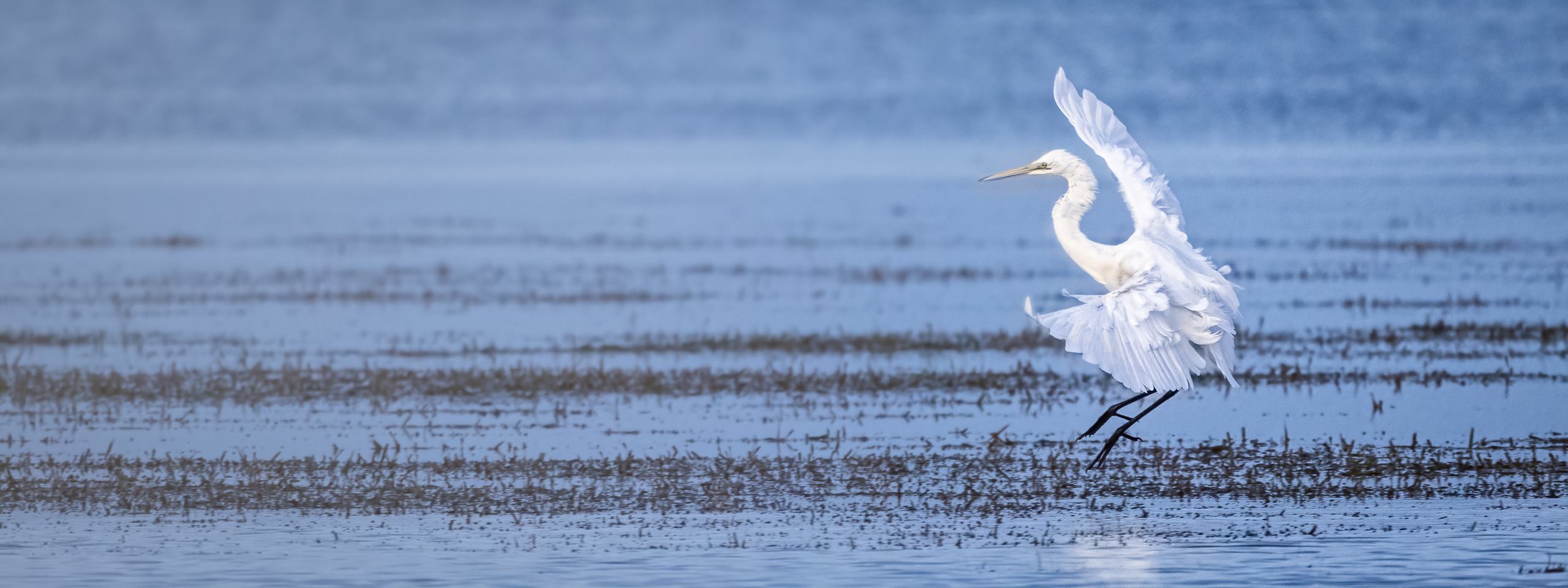 Landing