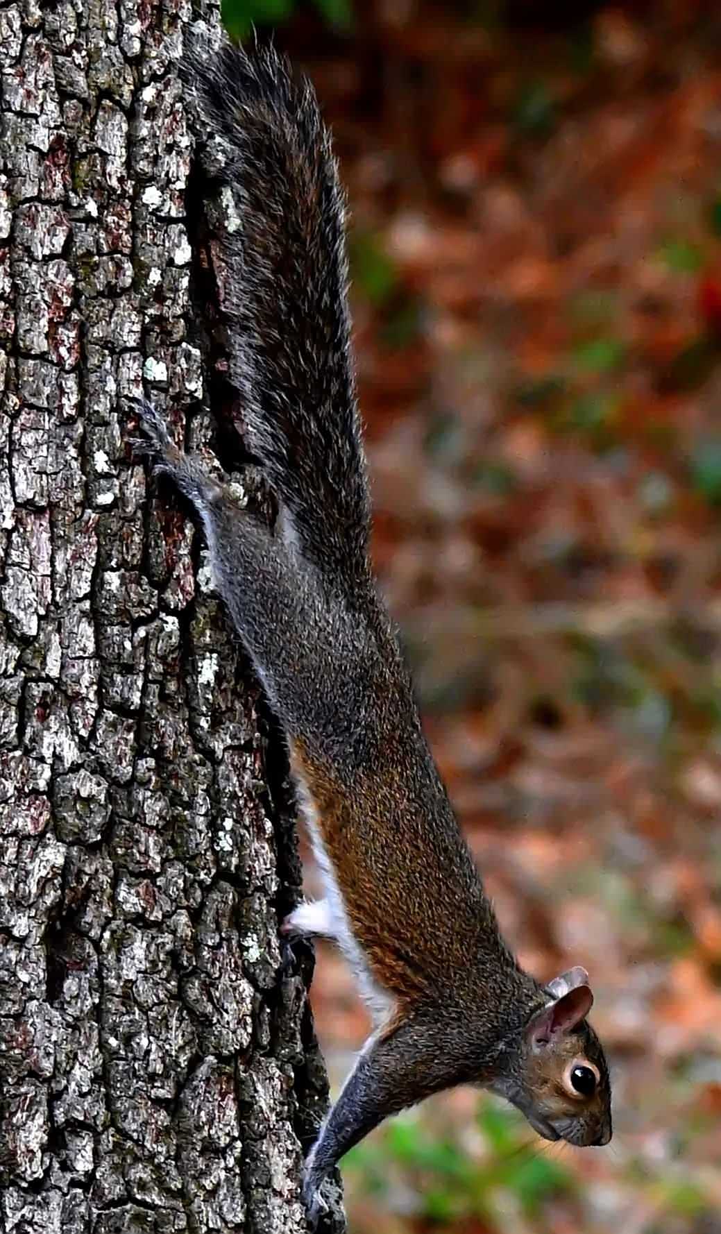 Stretching