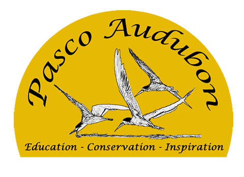 Pasco Audubon